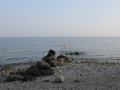 IMG_0270