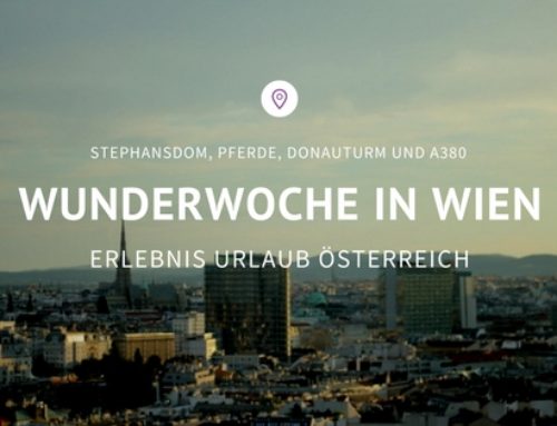 WunderWoche in Wien: Stephansdom, Pferde, Donauturm und A380